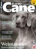 Il mio Cane